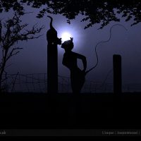 5686966710_fd7583b9a8_o