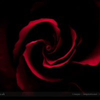 5690695208_47645381ac_o