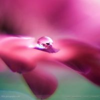 5699160562_eb64332537_o