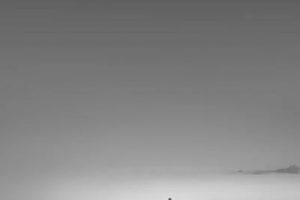 Jetty6_20240924_183015_0000