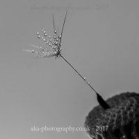 db762e5-9f28fbf9-7099-4117-93e8-c48f44ebcf3c