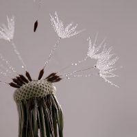 db76del-f5c96e93-8666-411e-a638-4cf8813c83f8