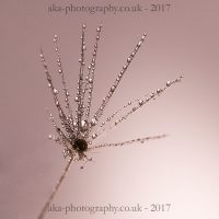 db76jgv-97f8bcd4-66b9-447e-bd0b-937fd66959ed