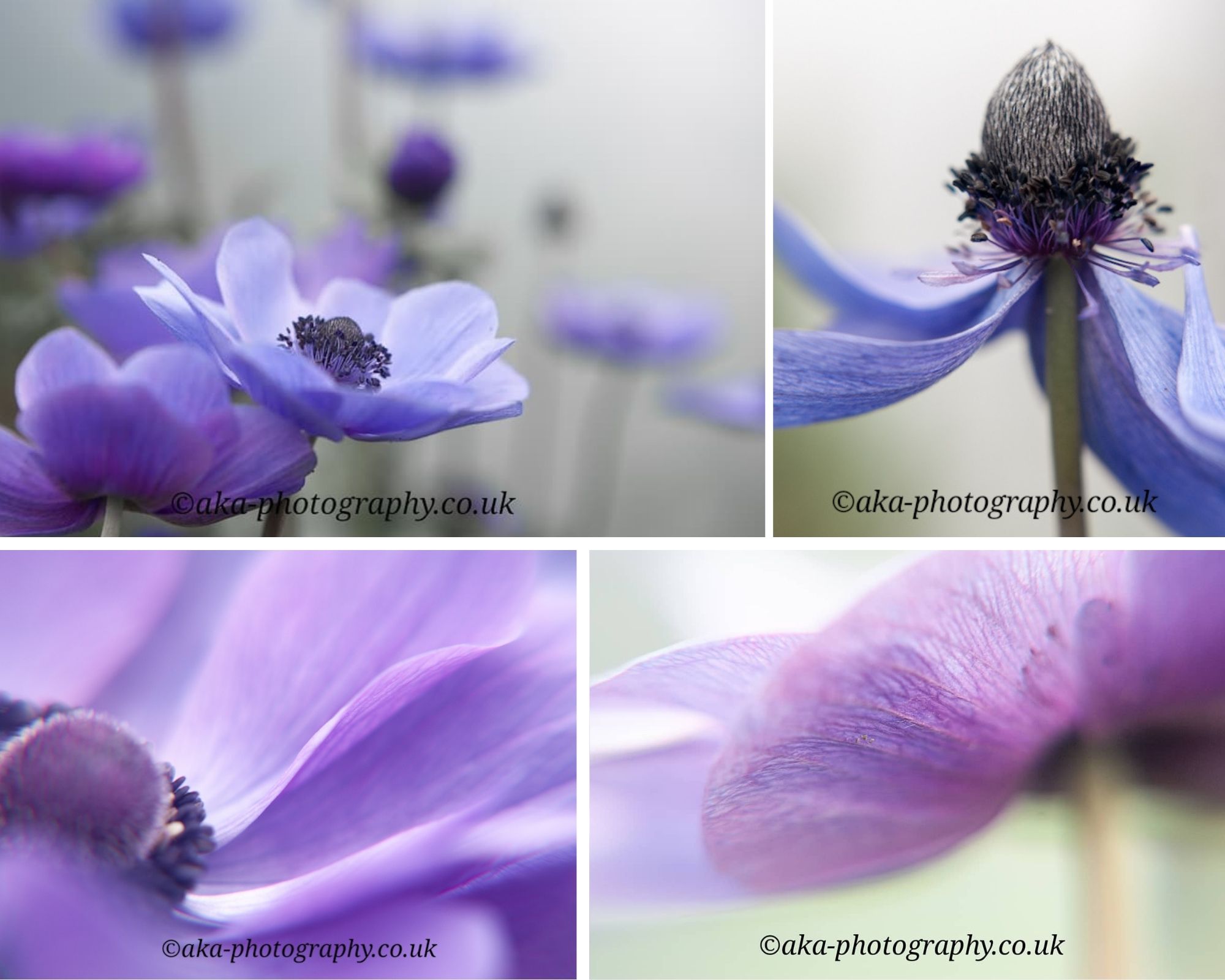 Beautiful shades of blue