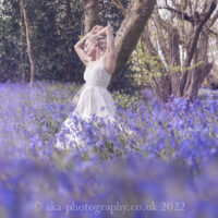 Pixie in bluebells