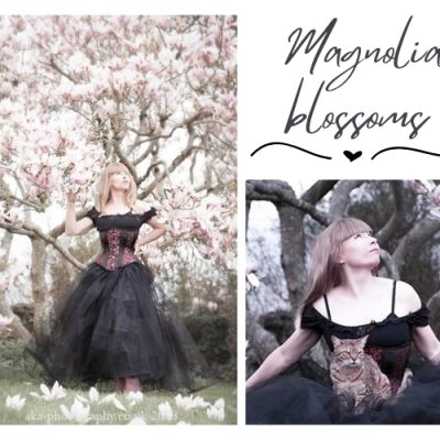 Magnolia blossoms portrait