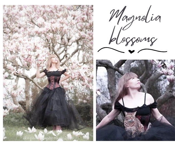 Magnolia blossoms portrait