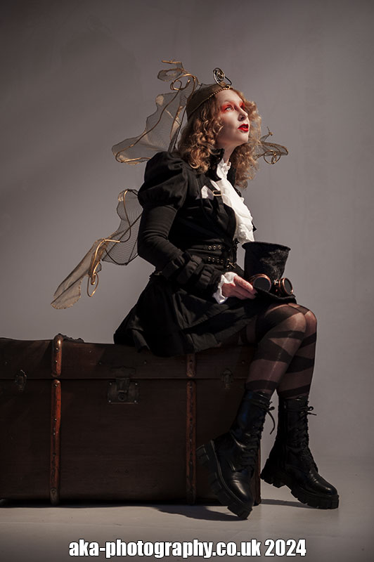 steampunk fairy photo