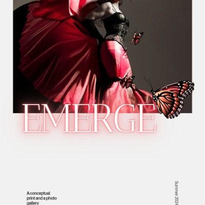 Butterfly fashion print