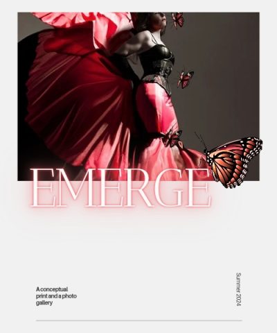 Butterfly fashion print