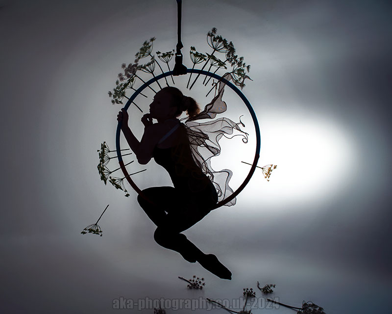 Aerial hoop. Fairy silhouettes 