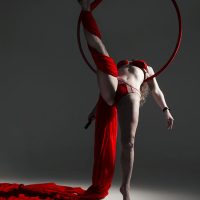 aerial hoop and aerial silks