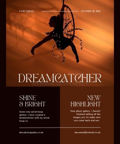 Aerial hoop dreamcatcher