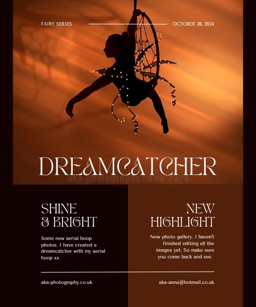 Aerial hoop dreamcatcher