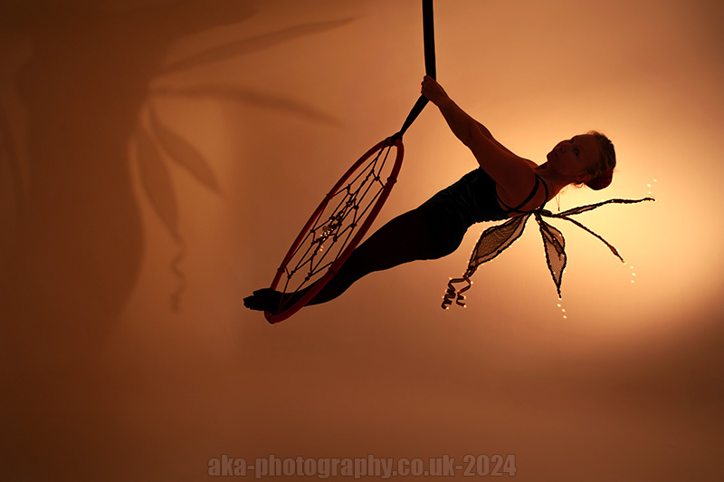 aerial hoop fairy dream catcher