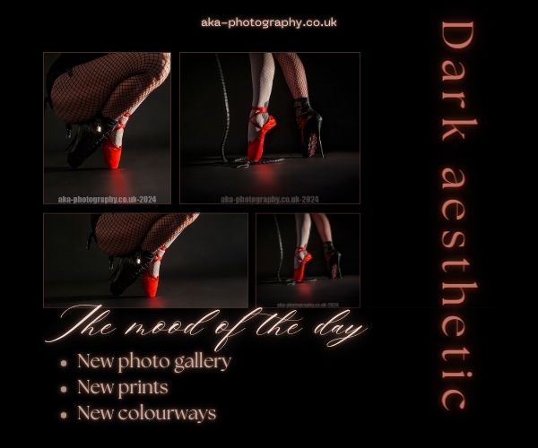 Ballet point shoe and ballet boot