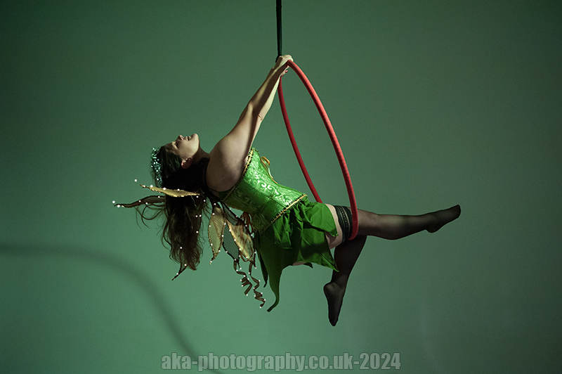 Fairy aerial hoop