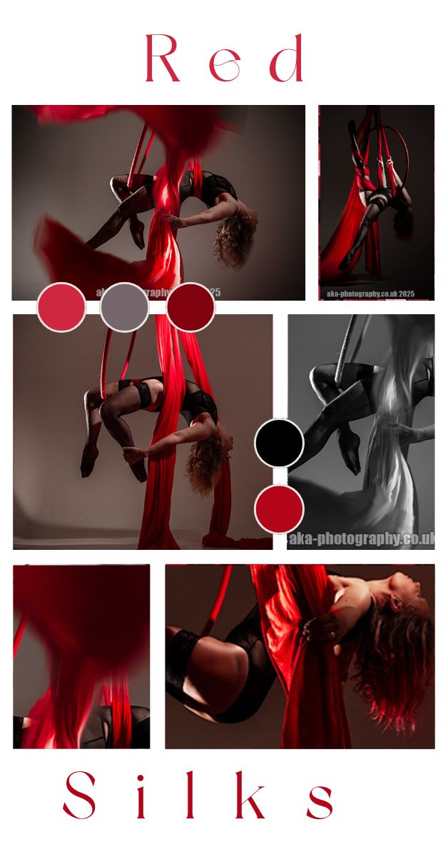 Aerial hoop and aerial silk