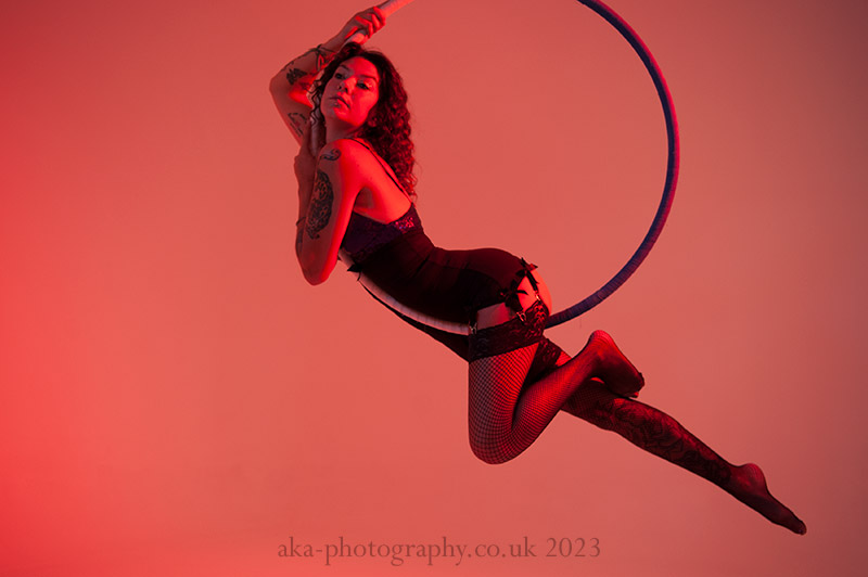 Lion in a tree Aerial hoop photography