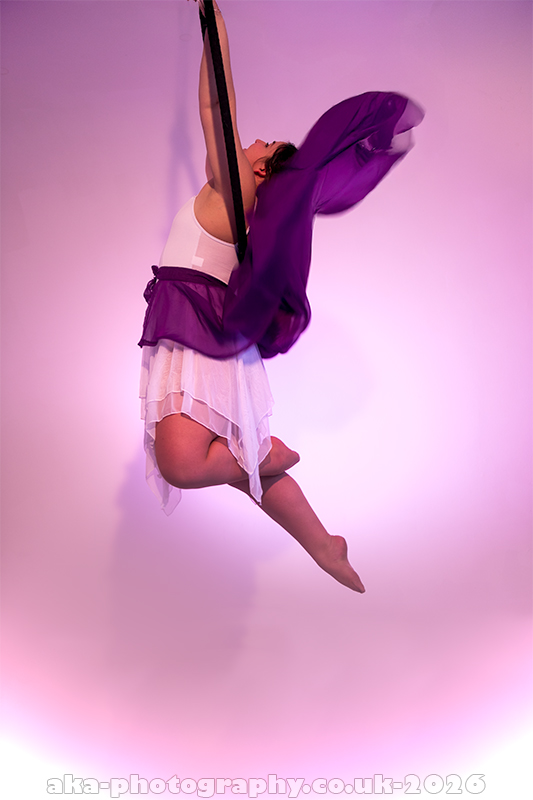 Aerial hoop duo photos