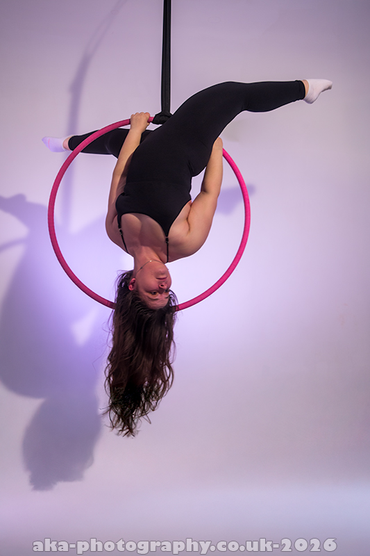 Aerial hoop duo photos
