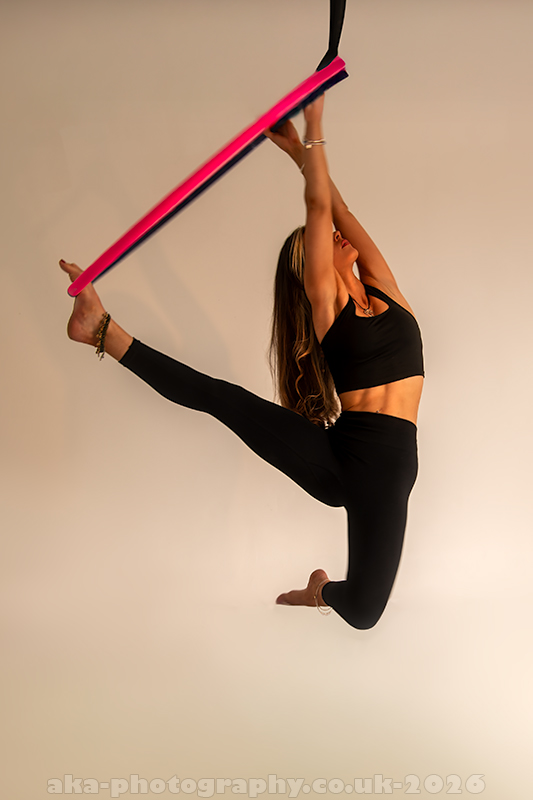 molly aerial hoop